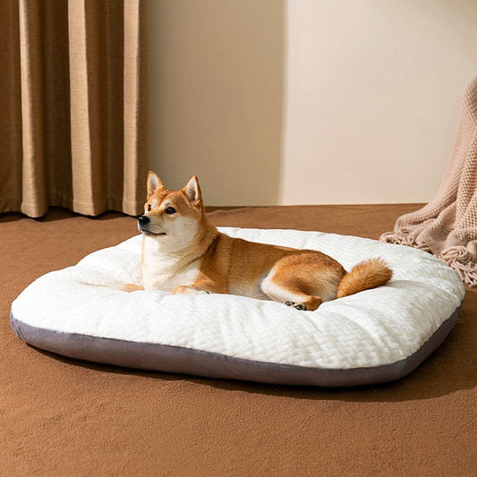 two sides dog bed