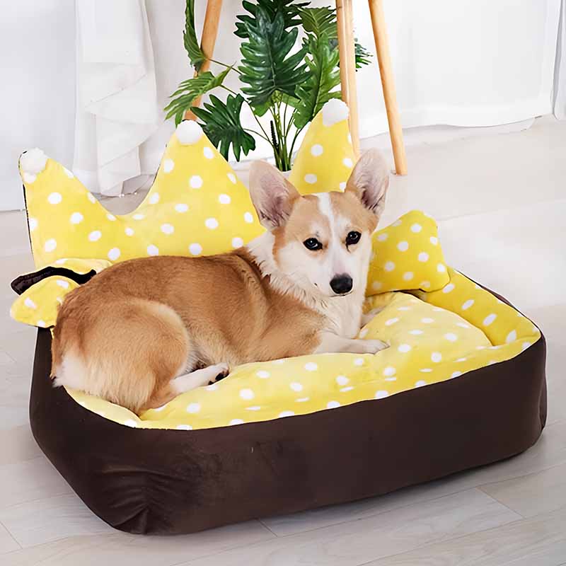 Crown Shape Candy Color Dog Bed - Yellow White Dots