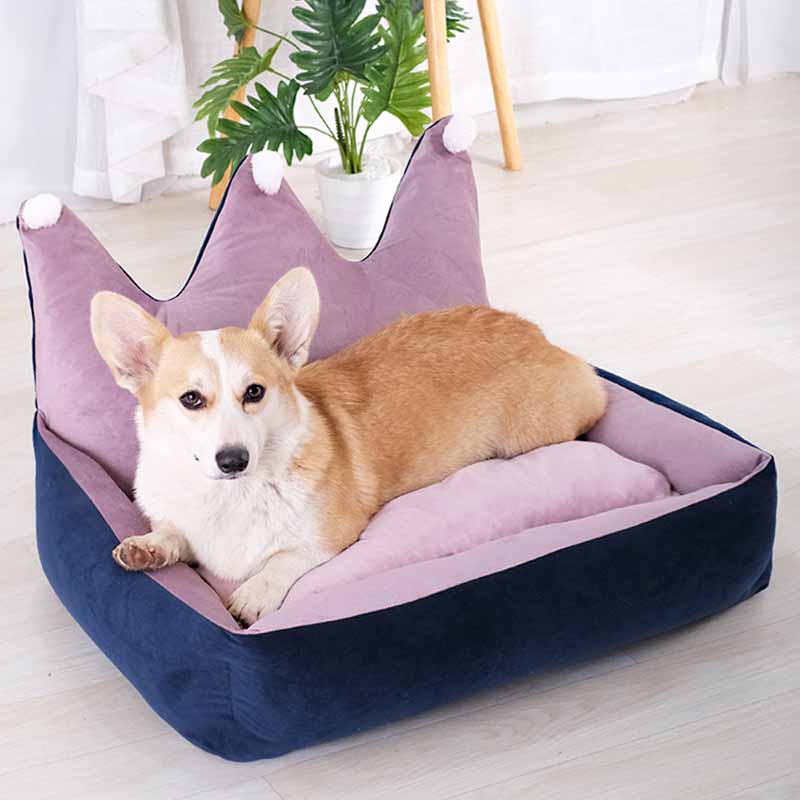 Crown Shape Dog Bed