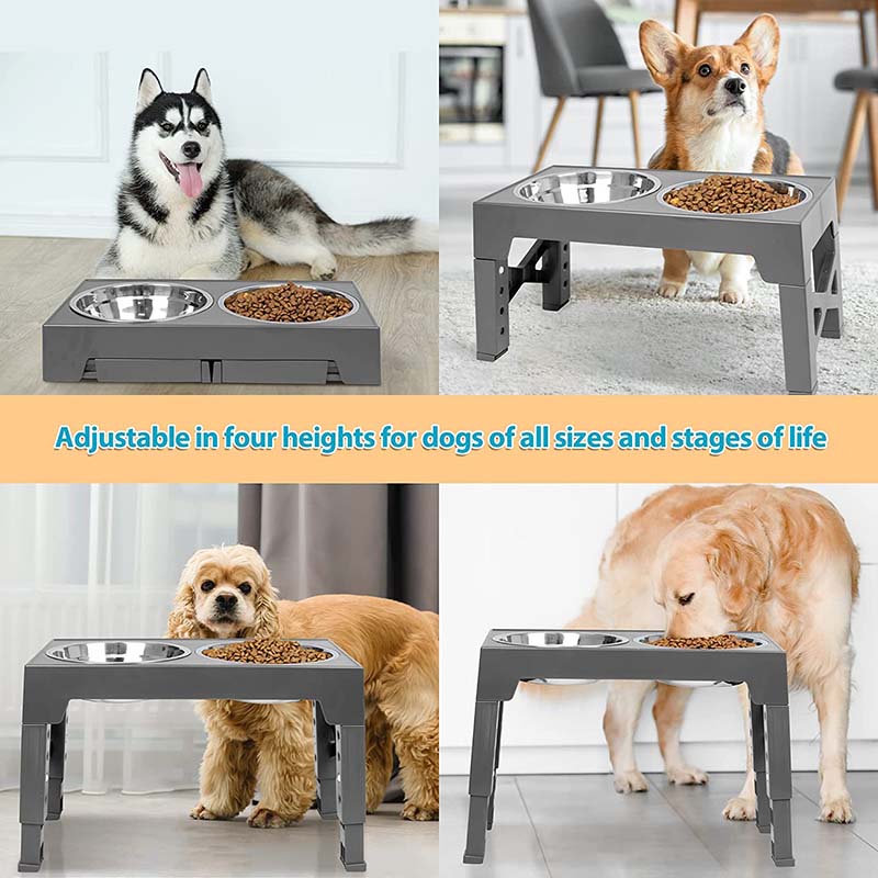 Adjustable Elevated Dog Feeder