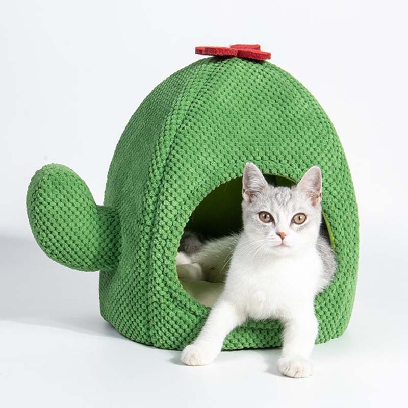 Cactus Shape Cat House