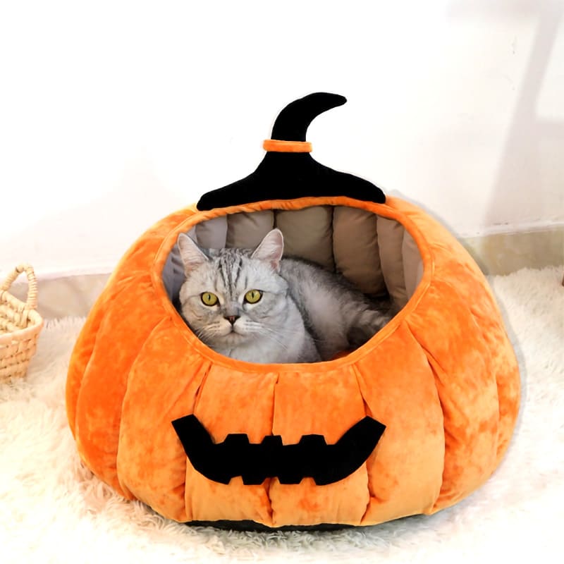 Pumpkin Cat Bed