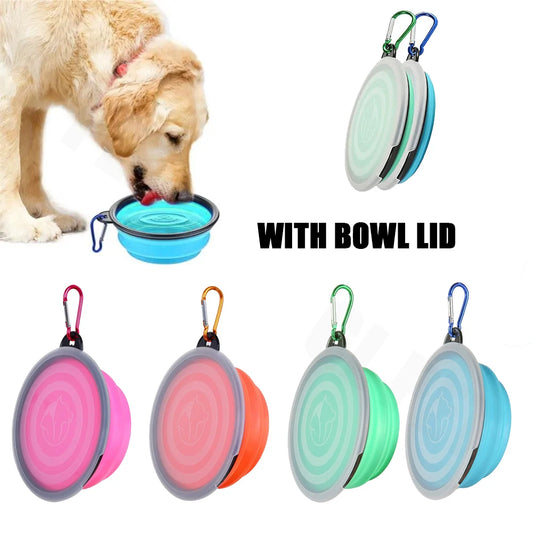 Collapsible Silicone Travel Dog & Cat Bowl with Carabiner