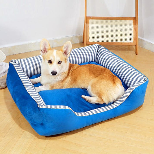 blue stripe dog bed