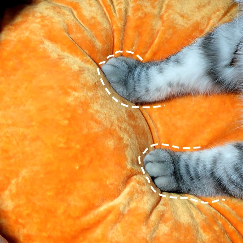 Halloween Pumpkin Cat Bed